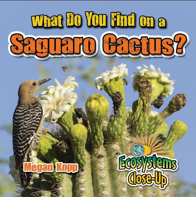 Couverture_What Do You Find on a Saguaro Cactus?