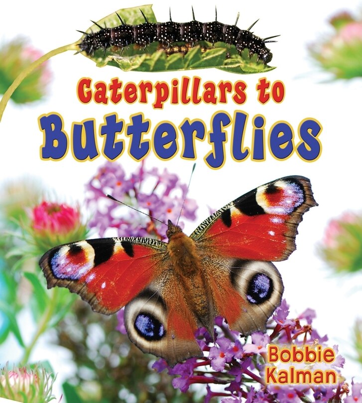 Front cover_Caterpillars to Butterflies