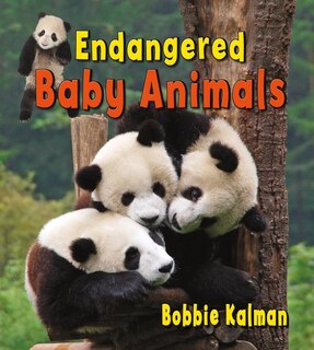Front cover_Endangered Baby Animals