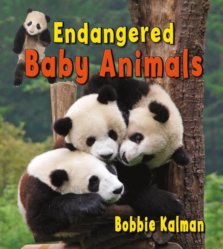 Front cover_Endangered Baby Animals