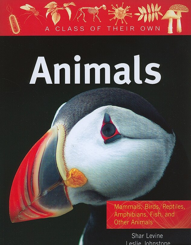 Front cover_Animals: Mammals, Birds, Reptiles, Amphibians, Fish, and Other Animals