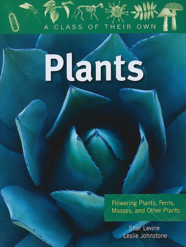 Front cover_Plants: Flowering Plants, Ferns, Mosses, and Other Plants