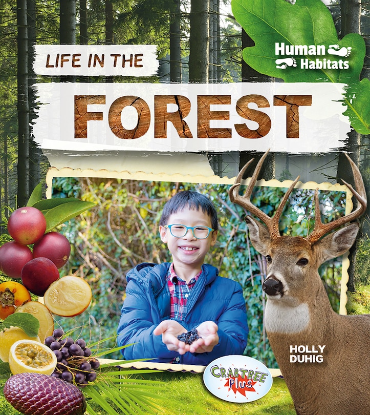 Couverture_Life in the Forest