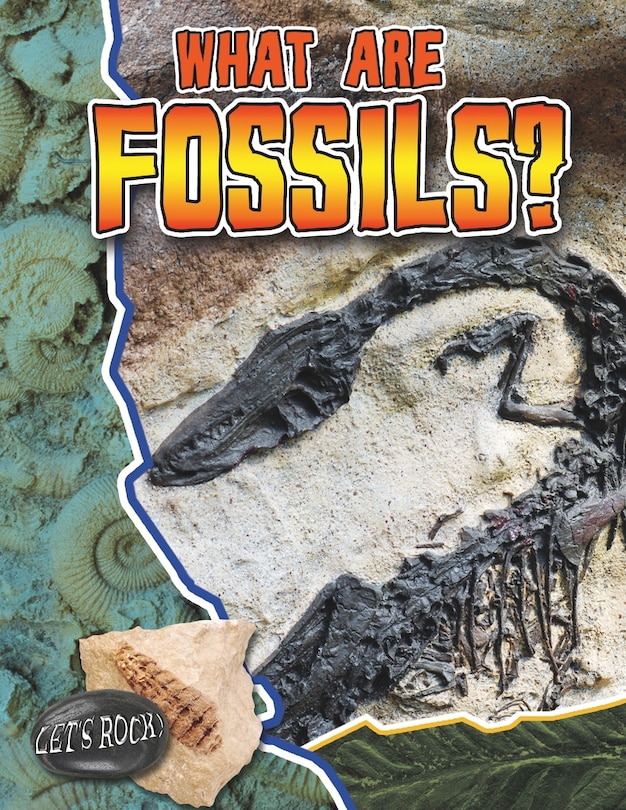 Front cover_What Are Fossils?