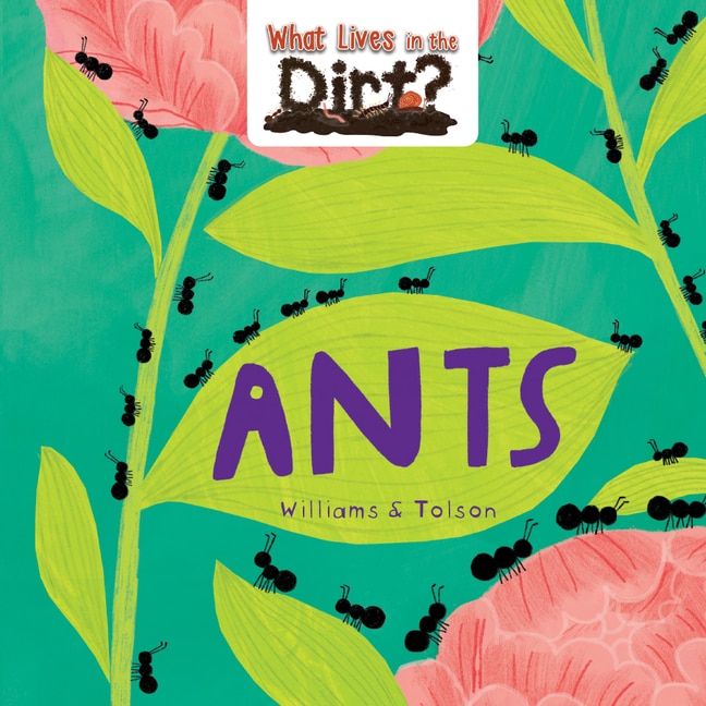 Front cover_Ants