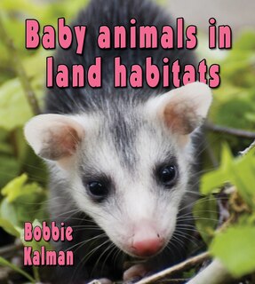 Couverture_Baby Animals in Land Habitats