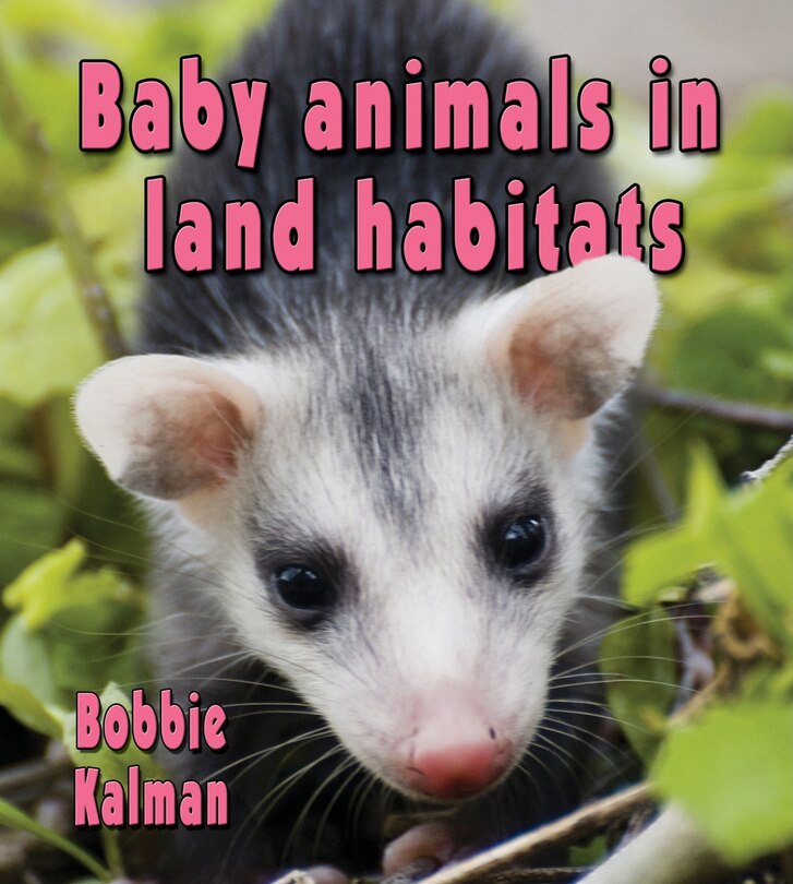 Couverture_Baby Animals in Land Habitats