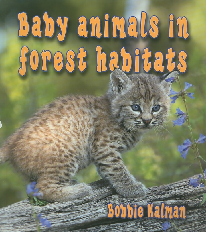 Couverture_Baby Animals in Forest Habitats