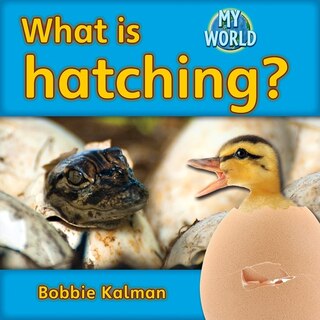 Front cover_What Is Hatching?
