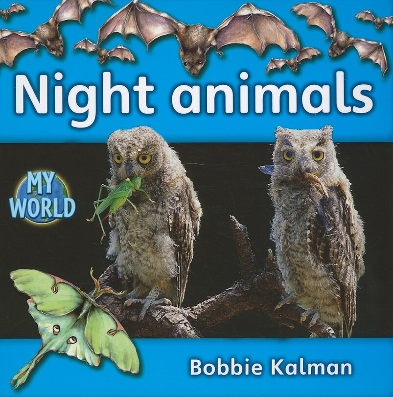 Front cover_Night Animals
