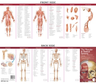 Front cover_Anatomical Chart Company's Illustrated Pocket Anatomy