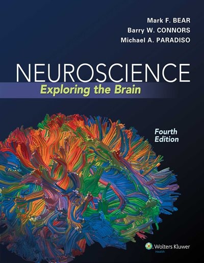 Neuroscience: Exploring The Brain
