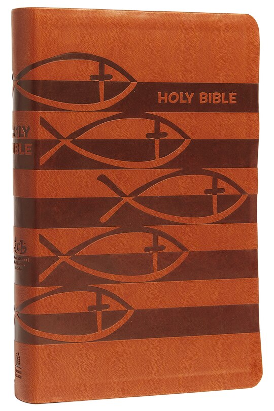 Couverture_Icb, Holy Bible, Leathersoft, Brown