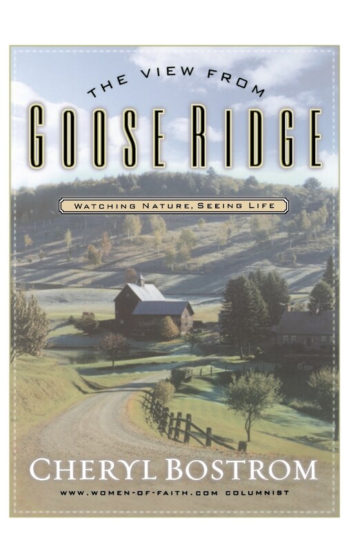 Front cover_The View From Goose Ridge