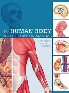 Front cover_Human Body Identification Manual