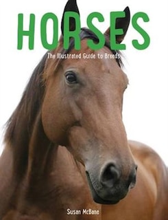 Front cover_Horses