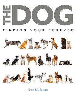 Front cover_The Dog