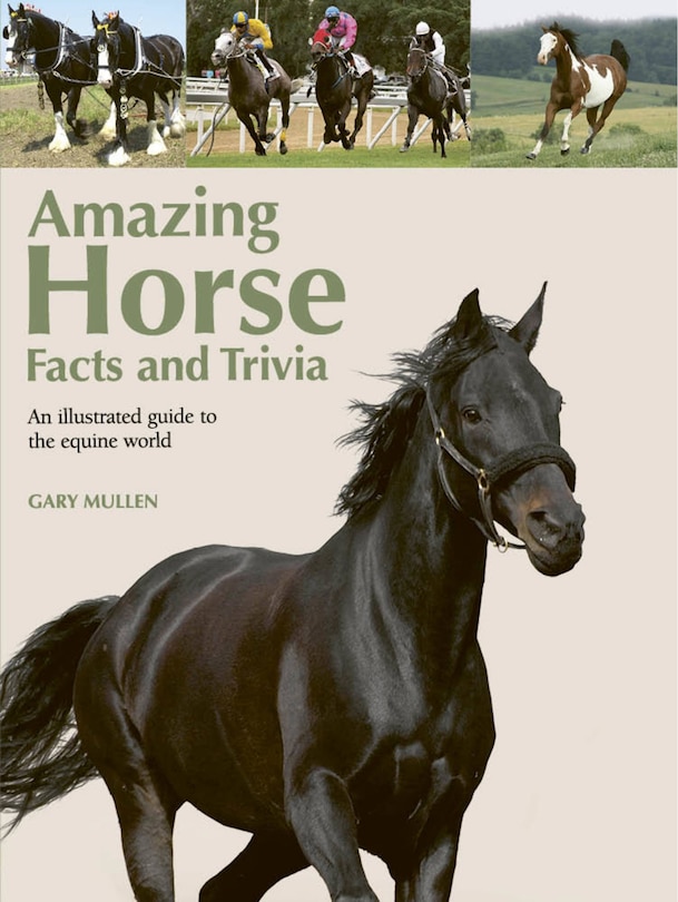 Front cover_Amazing Horse Facts And Trivia