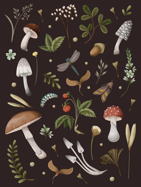 Front cover_Mushroom Lined Journal