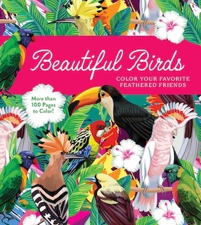 Front cover_Beautiful Birds