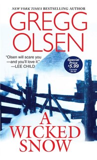 Couverture_A Wicked Snow