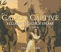 Front cover_Calico Captive