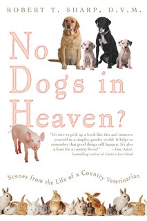 Front cover_No Dogs in Heaven?