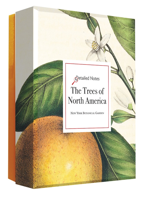 Front cover_The Trees of North America