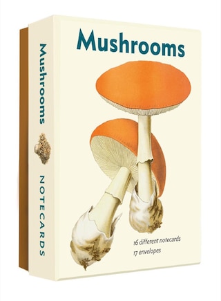 Mushrooms: An Abbeville Notecard Set