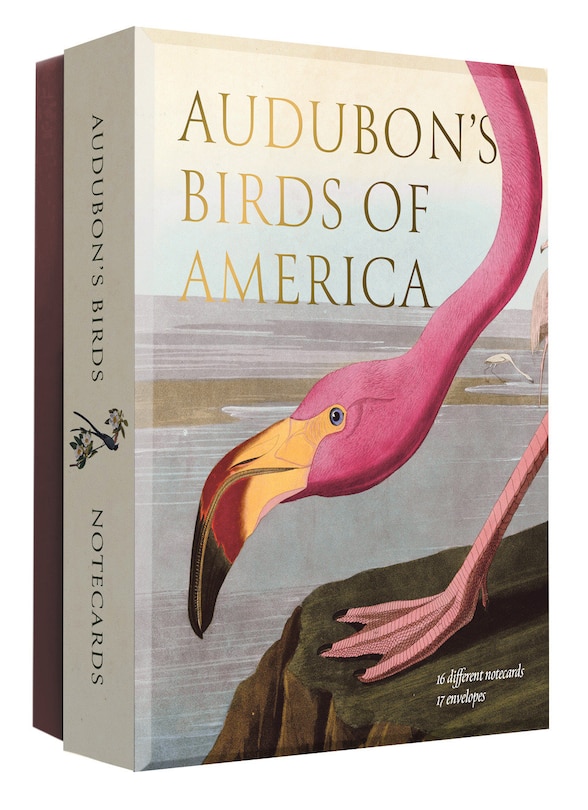 Couverture_Audubon's Birds of America