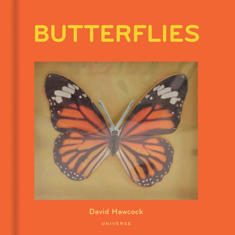 Couverture_Butterflies