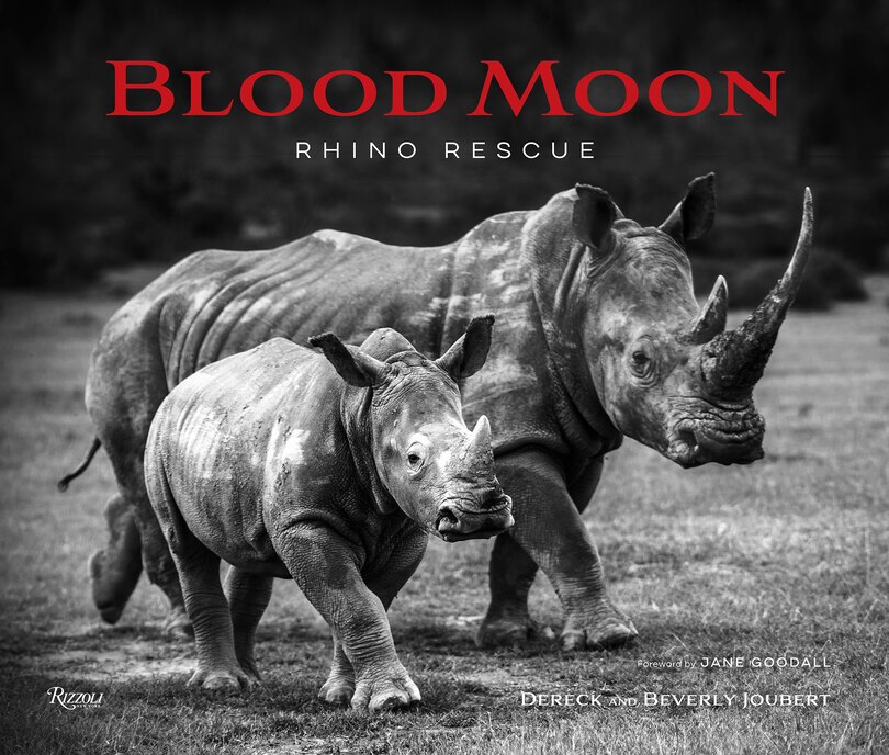 Couverture_Blood Moon