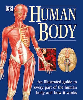 Front cover_The Human Body
