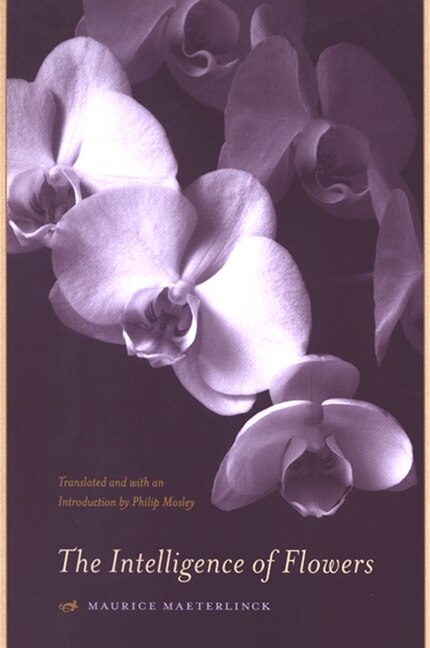 Couverture_The Intelligence of Flowers