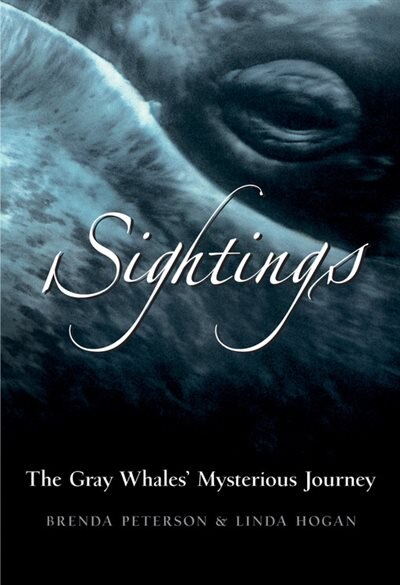 Couverture_Sightings