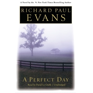 A Perfect Day