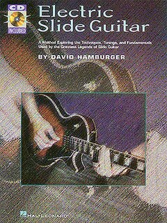 Electric Slide Guitar