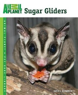 Sugar Gliders image number 0