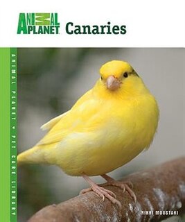 Canaries image number 0