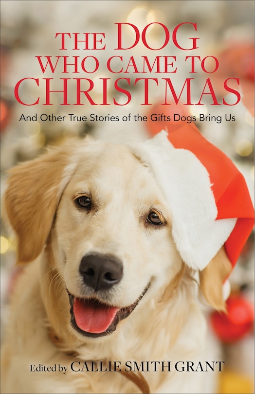 Front cover_The Dog Who Came to Christmas