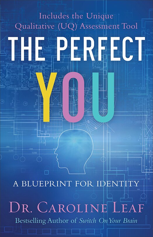 The Perfect You: Blueprint for Identity