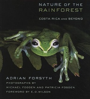 Front cover_Nature Of The Rainforest