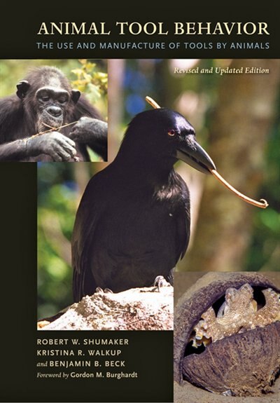 Couverture_Animal Tool Behavior