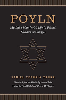 Poyln: My Life within Jewish Life in Poland, Sketches and Images