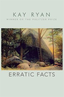 Couverture_Erratic Facts