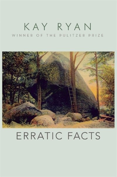 Couverture_Erratic Facts