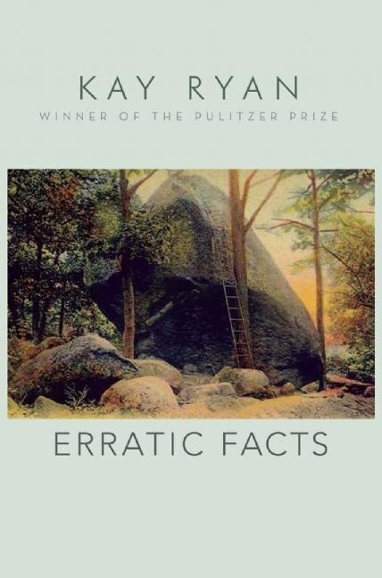 Couverture_Erratic Facts