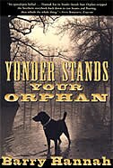 Front cover_Yonder Stands Your Orphan