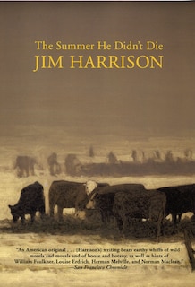 Couverture_The Summer He Didn't Die