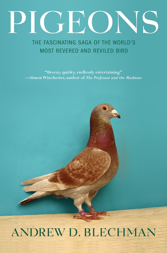 Couverture_Pigeons